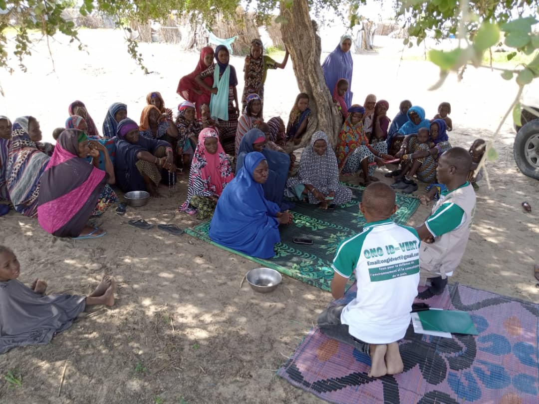 Sensibilisation communautaire des femmes à Diffa